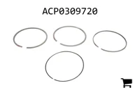 AGCO ACP0309720 Комплект поршневых колец