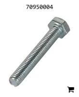 AGCO 70950004 Винт с шестигранной головкой