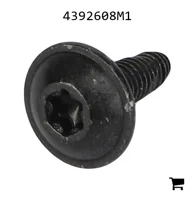 AGCO 4392608M1 Винт