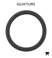 AGCO 4224753M1 Уплотнительное кольцо