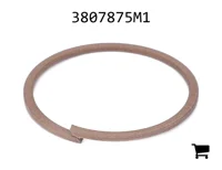 AGCO 3807875M1 Опорное кольцо