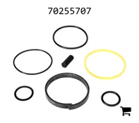 AGCO 70255707 Ремкомплект