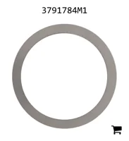 AGCO 3791784M1 Шайба