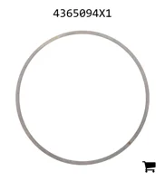 AGCO 4365094X1 Регулировочная шайба