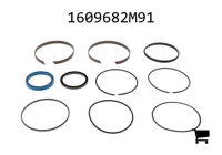 AGCO 1609682M91 Уплотнение