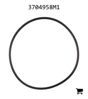 AGCO 3704958M1 Уплотнительное кольцо