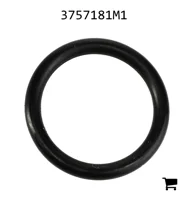 AGCO 3757181M1 Уплотнительное кольцо