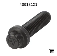 AGCO 400131X1 Болт