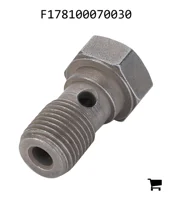 AGCO F178100070030 Болт банджо