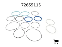 AGCO 72655115 Ремкомплект