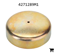 AGCO 4271289M1 Заглушка