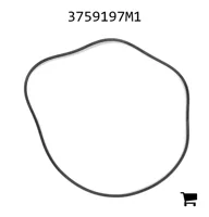 AGCO 3759197M1 Сальник полуоси редуктора