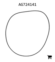 AGCO AG724141 Уплотнительное кольцо гидравлического насоса