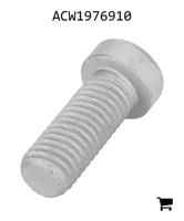 AGCO ACW1976910 Установочный винт с шестигранной головкой