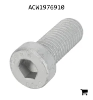 AGCO ACW1976910 Установочный винт с шестигранной головкой