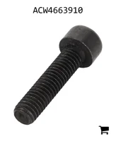 AGCO ACW4663910 Винт с цилиндрической головкой и шестигранным углублением