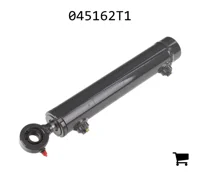 AGCO 045162T1 Гидроцилиндр
