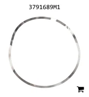 AGCO 3791689M1 Регулировочная шайба