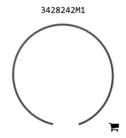 AGCO 3428242M1 Кольцо