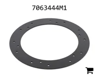 AGCO 7063444M1 Кольцо