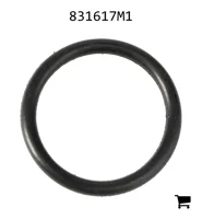 AGCO 831617M1 Уплотнительное кольцо