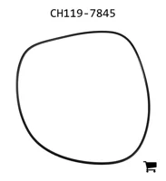 AGCO CH119-7845 Уплотнительное кольцо