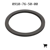 AGCO 0910-76-50-00 Опорная шайба
