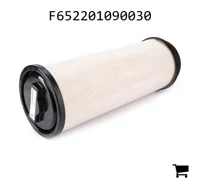 AGCO F652201090030 Воздушный фильтр