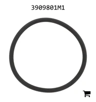 AGCO 3909801M1 Уплотнительное кольцо
