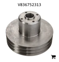 AGCO V836752313 Шкив водяного насоса