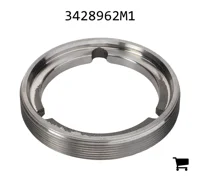 AGCO 3428962M1 Наконечник