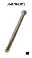 AGCO 3607843M1 Болт