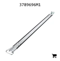 AGCO 3789696M1 Прижимной ремень