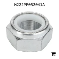 AGCO M222PF052041A Гайка
