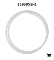 AGCO 1605958M1 Опорное кольцо