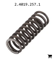 AGCO 2.4019.257.1 Пружина