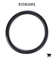 AGCO 835026M1 Уплотнительное кольцо гидробака