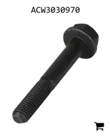 AGCO ACW3030970 Болт с шестигранной головкой и фланцем