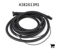 AGCO 4382613M1 Жгут