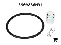 AGCO 3909836M91 Комплект уплотнений