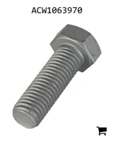 AGCO ACW1063970 Болт шестигранный