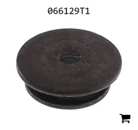 AGCO 066129T1 Резиновая заглушка