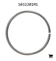 AGCO 1032201M1 Кольцо