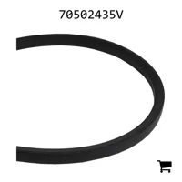 AGCO 70502435V Ремень