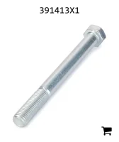AGCO 391413X1 Болт с шестигранной головкой