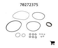 AGCO 70272375 Комплект уплотнений