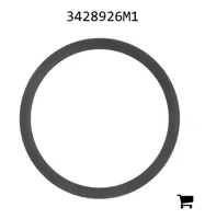 AGCO 3428926M1 Шайба