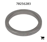 AGCO 70256203 Шайба