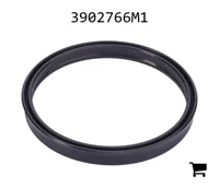 AGCO 3902766M1 Прокладка