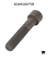 AGCO ACW4166750 Винт с цилиндрической головкой и шестигранным углублением